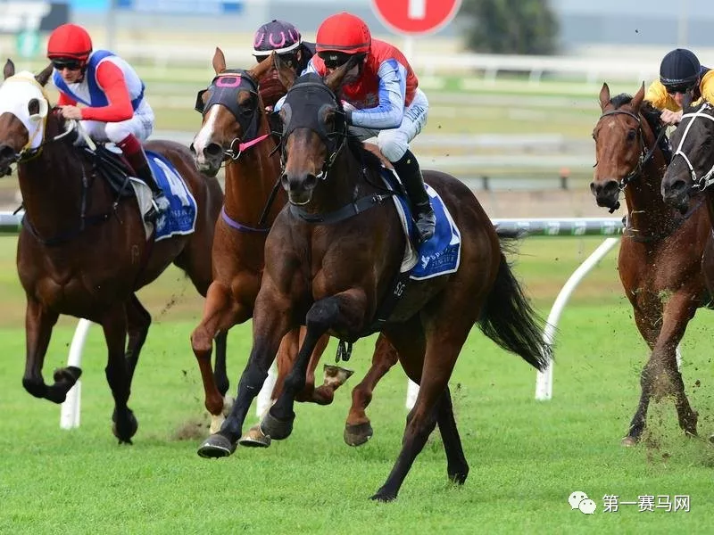 青海赛马客场逆袭，喜获胜利！